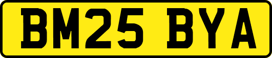 BM25BYA