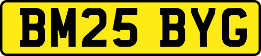 BM25BYG