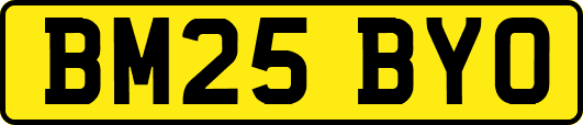BM25BYO