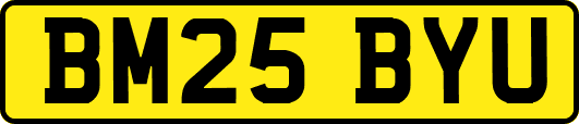 BM25BYU