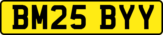BM25BYY