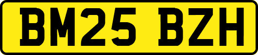 BM25BZH