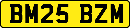 BM25BZM