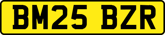 BM25BZR