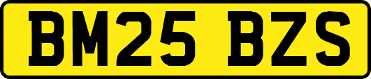 BM25BZS