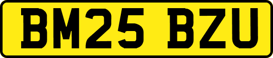 BM25BZU