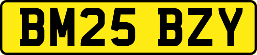 BM25BZY
