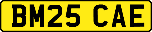 BM25CAE