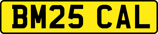 BM25CAL