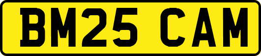BM25CAM