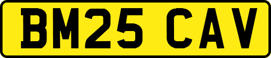 BM25CAV