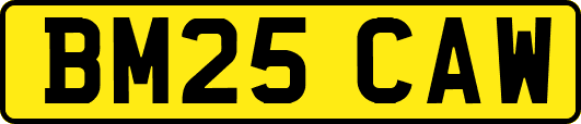 BM25CAW