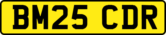 BM25CDR