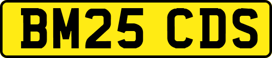 BM25CDS