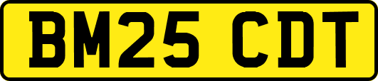 BM25CDT