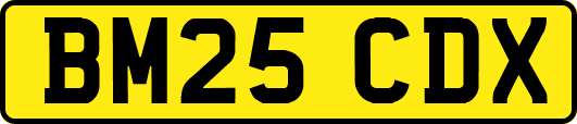 BM25CDX