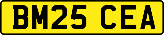 BM25CEA
