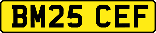 BM25CEF