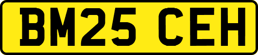 BM25CEH