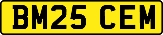 BM25CEM
