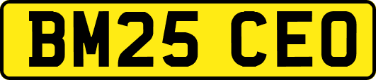 BM25CEO