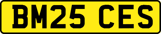BM25CES