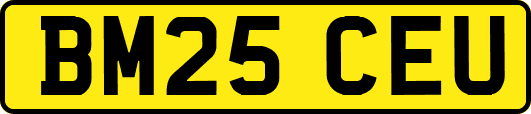 BM25CEU