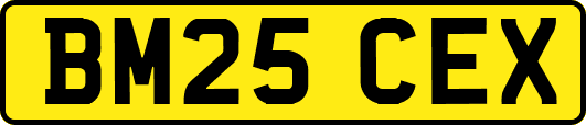 BM25CEX