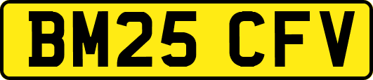 BM25CFV