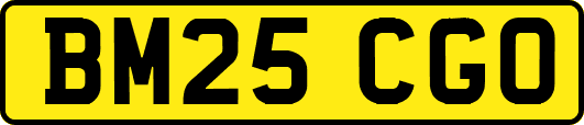 BM25CGO
