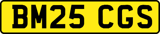 BM25CGS