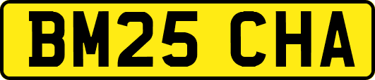 BM25CHA