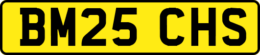 BM25CHS