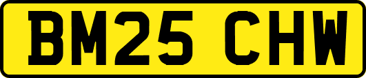 BM25CHW