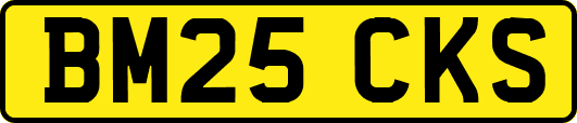 BM25CKS