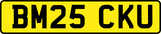 BM25CKU