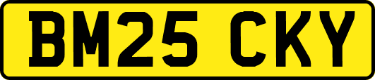 BM25CKY
