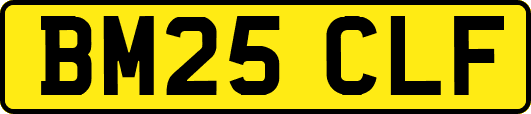BM25CLF
