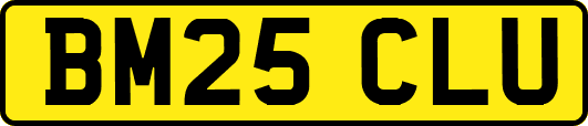 BM25CLU
