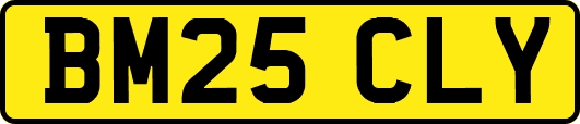 BM25CLY