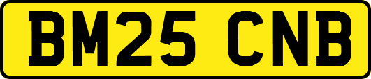 BM25CNB