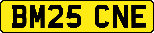 BM25CNE