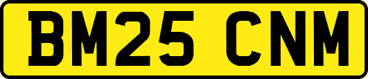 BM25CNM