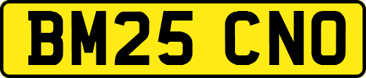BM25CNO