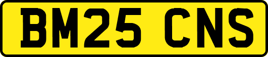BM25CNS