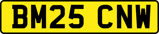 BM25CNW