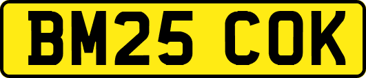 BM25COK