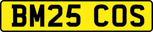 BM25COS