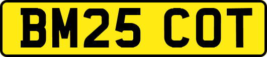 BM25COT