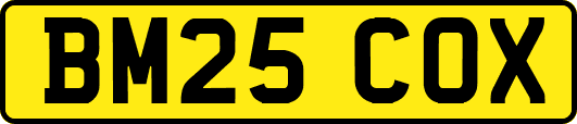 BM25COX